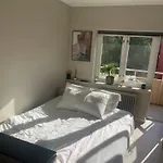 New Renovated Apartment